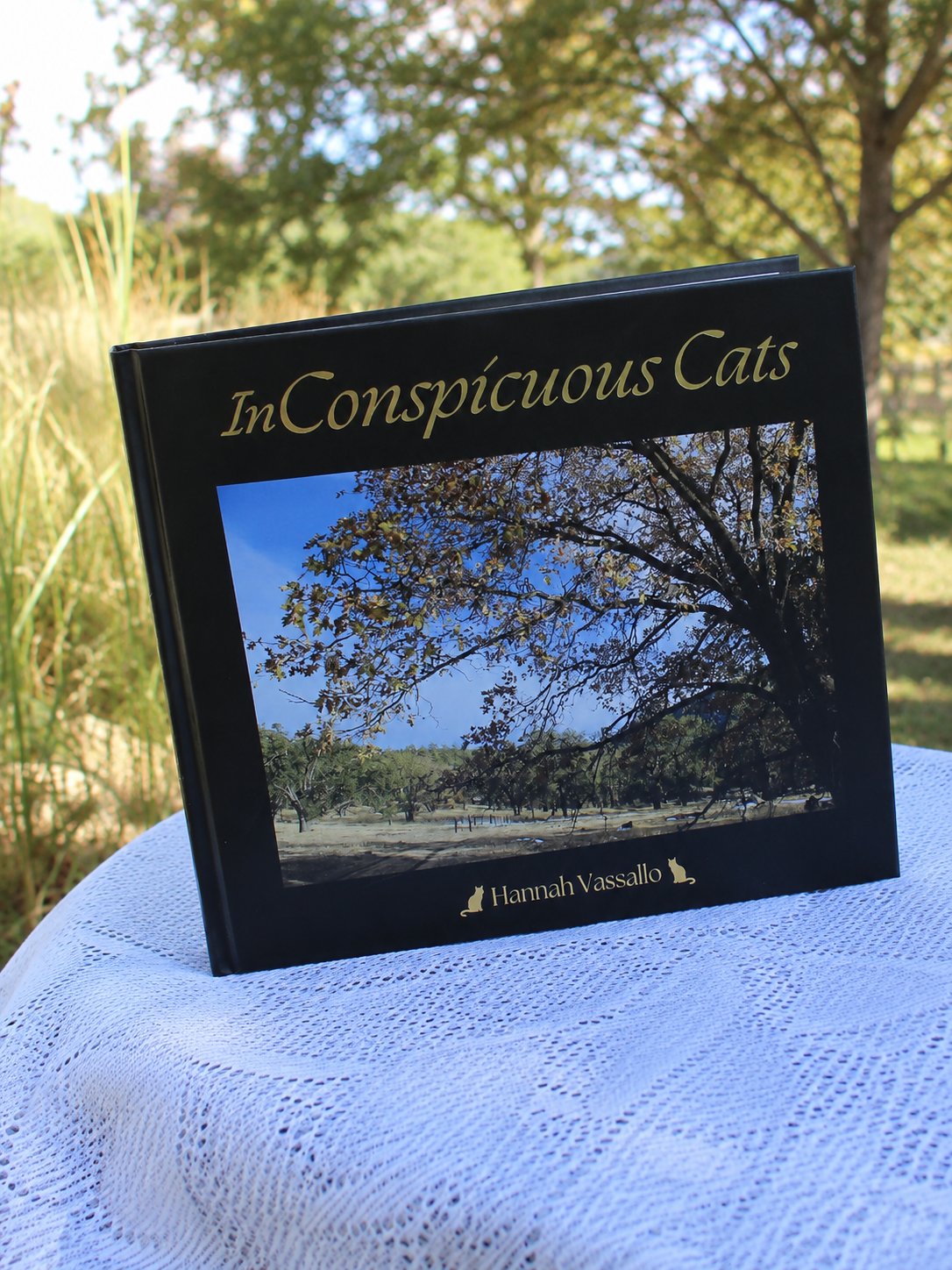 InConspicuous Cats — book cover